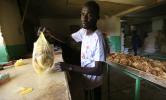 السودان: موسم شتوي هزيل لزراعة القمح