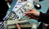 هل يستمر ارتفاع الدولار الأمريكي؟ وماذا عن اليورو والليرة التركية؟