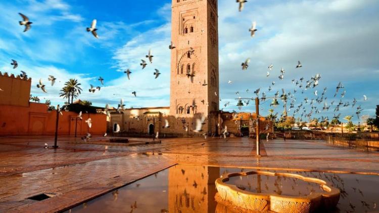 إغلاق الحدود ينذر بخسائر فادحة في قطاع السياحة بالمغرب