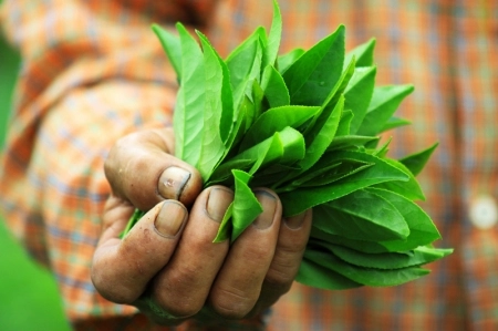 منها-الصحافة-و-الرعاية-الصحية