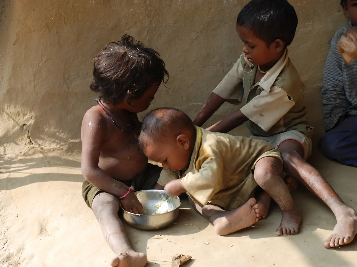 خبر-أزمة-الغذاء-العالمية-ما-هي