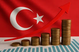 تقرير-تركيا-تعود-لنمو-اقتصادي