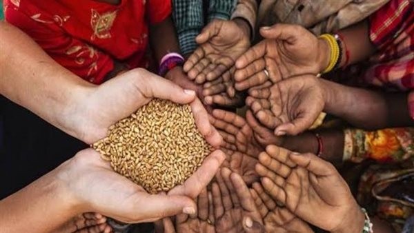 الأمم المتحدة تحذّر من تصاعد أزمة الغذاء العالمية وسط تقلبات اقتصادية